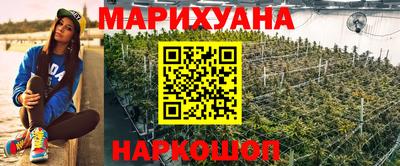 стафф Донской