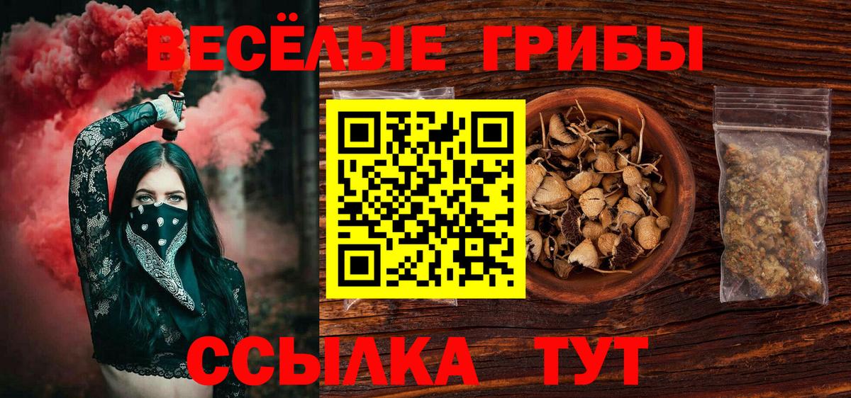 Псилоцибиновые грибы Magic Shrooms  Псилоцибиновые грибы MAGIC MUSHROOMS  Заинск  купить закладку  Вход с VPN 