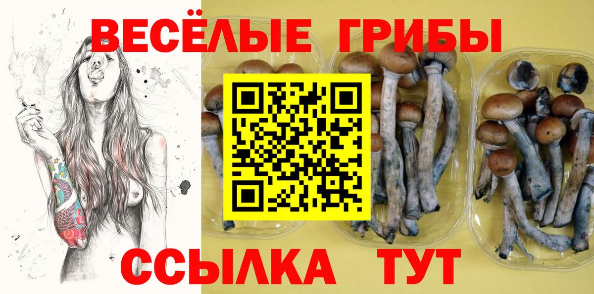 Псилоцибиновые грибы MAGIC MUSHROOMS Заинск